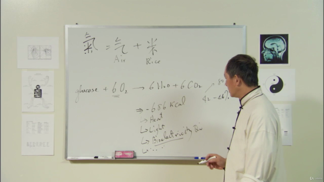 Understand Qigong 6: Martial Arts Qigong Breathing -Dr Yang – Screenshot 1