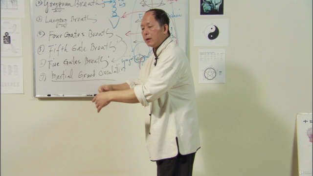 Understand Qigong 6: Martial Arts Qigong Breathing -Dr Yang – Screenshot 3