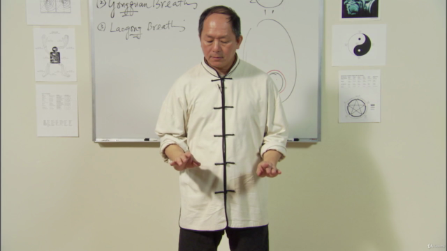 Understand Qigong 6: Martial Arts Qigong Breathing -Dr Yang – Screenshot 4