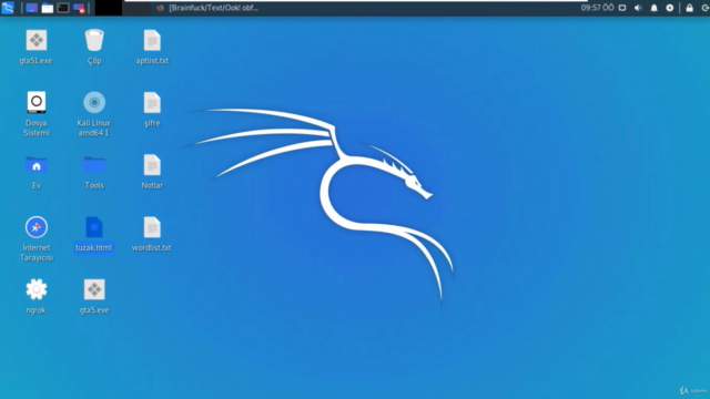 Sıfırdan Temel Ethical Hacker ve Siber Güvenlik Kursu – Screenshot 2