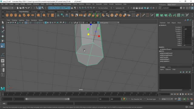 Maya 2020 Fundamentos na Prática – Screenshot 2