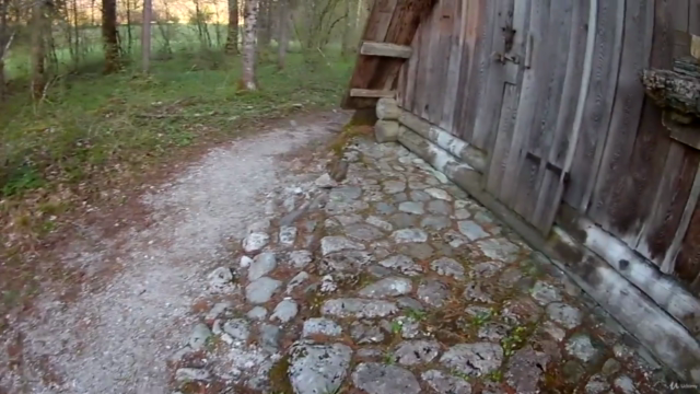 Wie schütze ich den Wald? – Screenshot 3