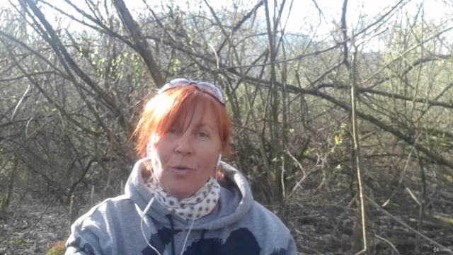 Wie schütze ich den Wald? – Screenshot 4