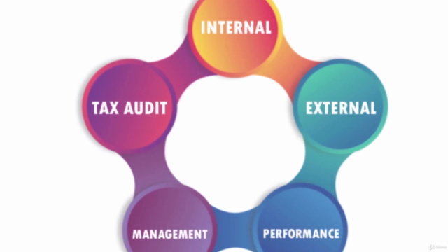 Audit & Forensic Data Analysis with MS Excel – Screenshot 2
