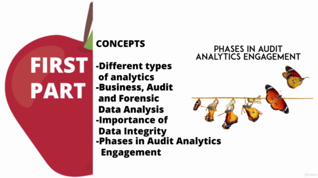 Audit & Forensic Data Analysis with MS Excel – Screenshot 3