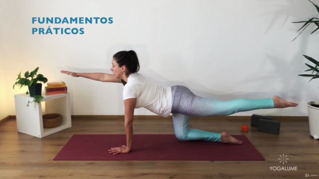FUNDAMENTOS DA PRÁTICA DE YOGA – Screenshot 1