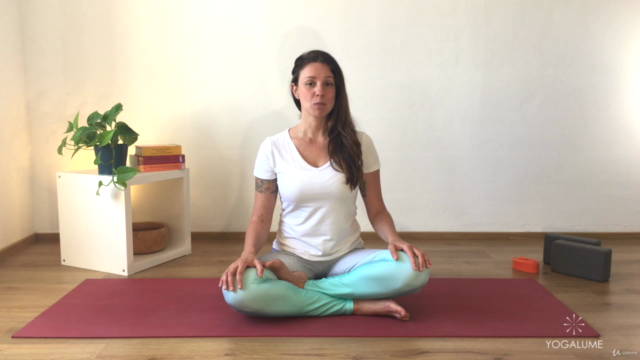 FUNDAMENTOS DA PRÁTICA DE YOGA – Screenshot 2