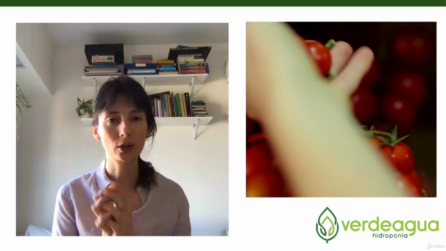 Agricultura urbana e Hidroponia – Screenshot 3