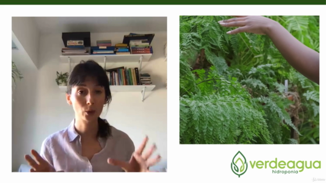 Agricultura urbana e Hidroponia – Screenshot 4