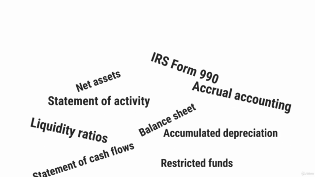 How to Read Nonprofit Financial Statements – Screenshot 2