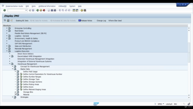 Training on few SAP WM Function Modules – Screenshot 1