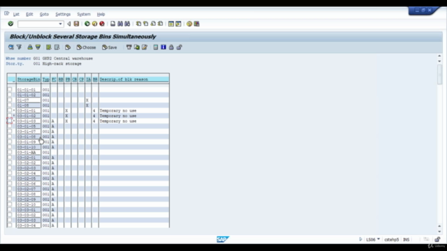 Training on few SAP WM Function Modules – Screenshot 3