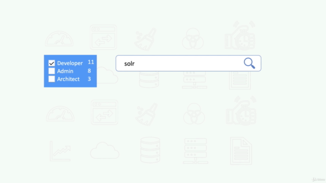 Introduction to Apache Solr – Screenshot 1