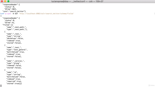 Introduction to Apache Solr – Screenshot 3