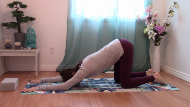 Yin Yoga for Flexibility & Stress Relief – Screenshot 1