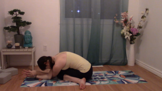 Yin Yoga for Flexibility & Stress Relief – Screenshot 3