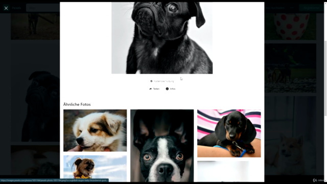 Canva Ebook & Taschenbuch Cover Anfängerkurs – Screenshot 2