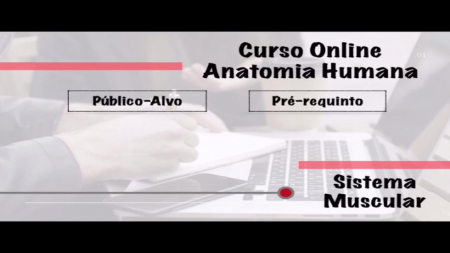 Curso Online - Anatomia Humana (Sistema Muscular) – Screenshot 2