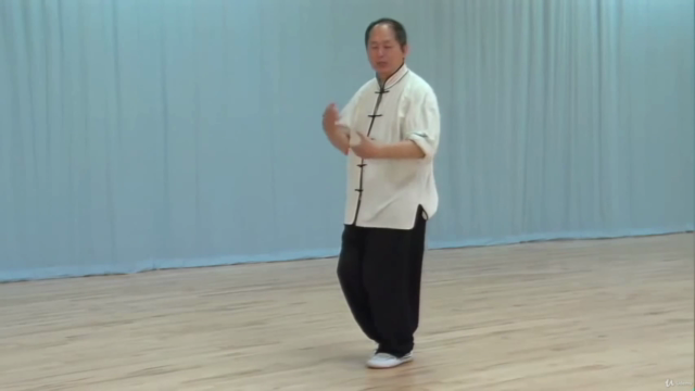 Qigong Five Animal Sports Theory and Exercises with Dr Yang – Screenshot 1