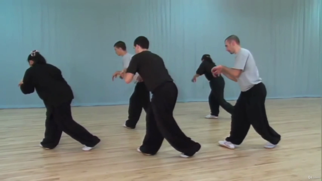 Qigong Five Animal Sports Theory and Exercises with Dr Yang – Screenshot 3