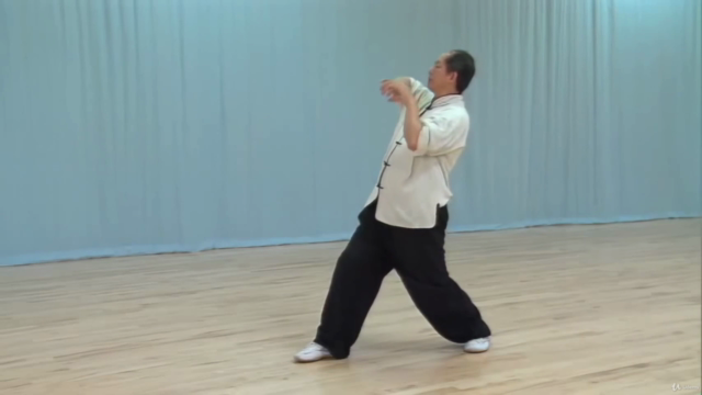 Qigong Five Animal Sports Theory and Exercises with Dr Yang – Screenshot 4