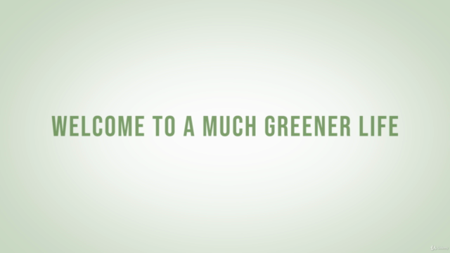 Houseplants 101: A Beginners Guide to Indoor Gardening – Screenshot 4
