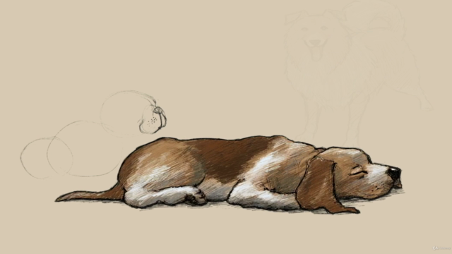 Drawing Dogs from Snout to Tail – Screenshot 1