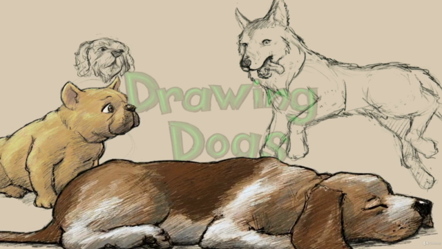Drawing Dogs from Snout to Tail – Screenshot 3