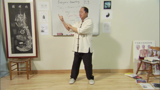 Understand Qigong 3: Embryonic Breath Meditation w Dr Yang – Screenshot 1