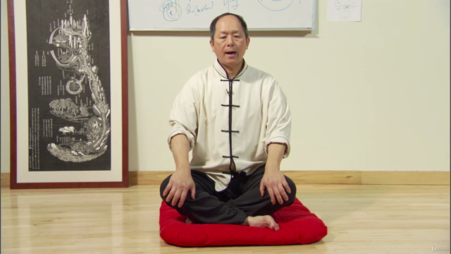 Understand Qigong 3: Embryonic Breath Meditation w Dr Yang – Screenshot 3