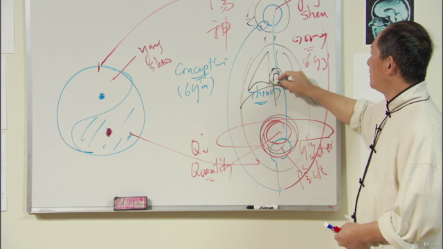 Understand Qigong 3: Embryonic Breath Meditation w Dr Yang – Screenshot 4
