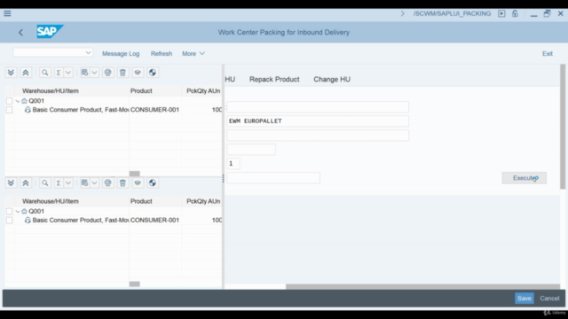 SAP EWM & S/4 HANA: Extended Warehouse Management – Screenshot 2