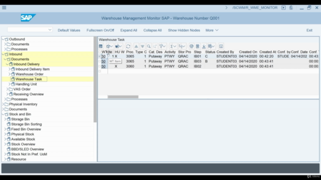 SAP EWM & S/4 HANA: Extended Warehouse Management – Screenshot 3