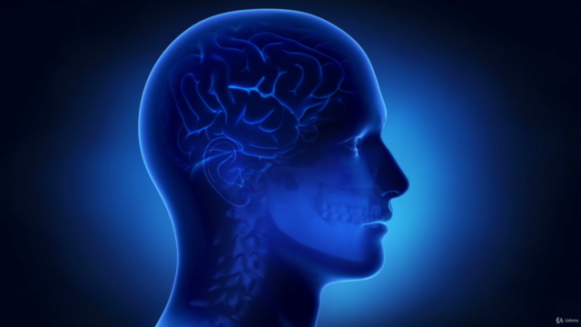 MATLAB para investigación en Neurociencia – Screenshot 1