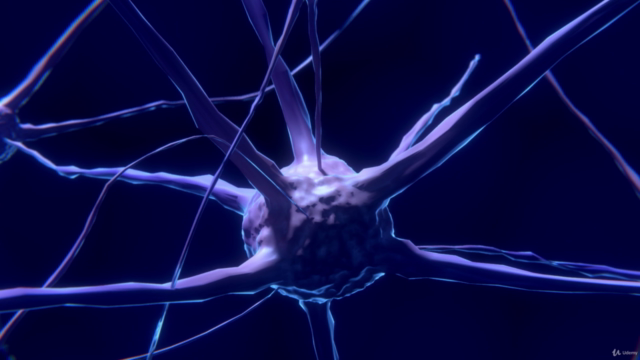 MATLAB para investigación en Neurociencia – Screenshot 2