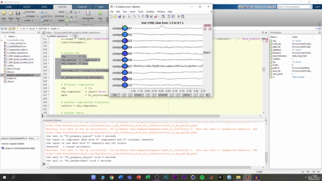 MATLAB para investigación en Neurociencia – Screenshot 3