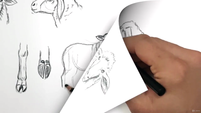 Hayvan Çizimi Resim Kursu | Animal Drawing Course – Screenshot 2