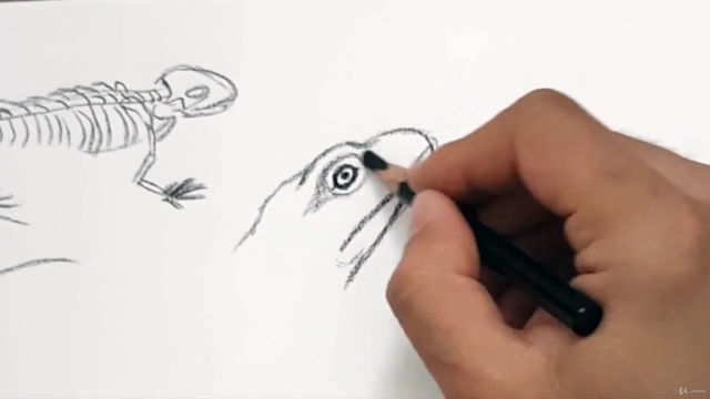 Hayvan Çizimi Resim Kursu | Animal Drawing Course – Screenshot 3
