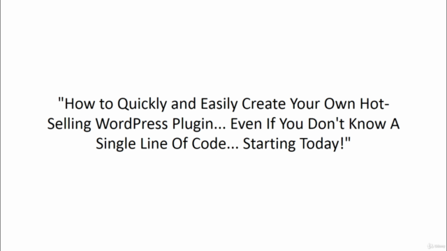 How to - Wordpress Plugin Outsourcing – Screenshot 3