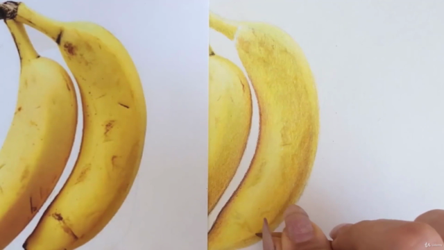 Realistic Drawing: Colored Pencil Drawing Art Course – Screenshot 2