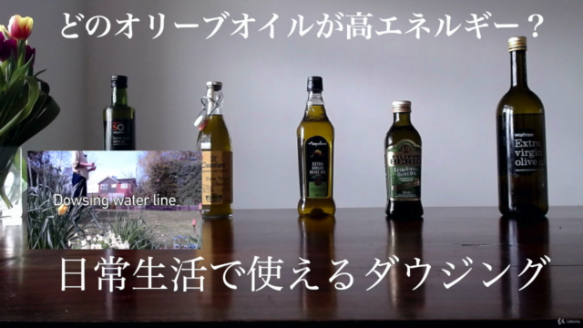 ダウジングの基礎 暮らしの中での賢い選択 – Screenshot 1