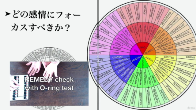 ダウジングの基礎 暮らしの中での賢い選択 – Screenshot 3