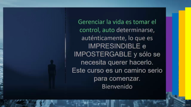 Gerencia de Vida – Screenshot 3