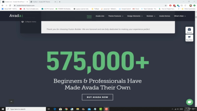 Professional Web Design with WordPress Avada Theme – Screenshot 2