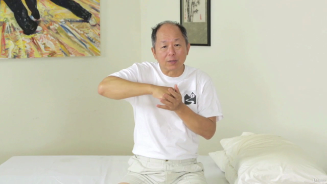 Meridian Qigong & Yoga Daily Routine with Dr. Yang (YMAA) – Screenshot 1