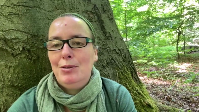 Waldbaden - Natur mit allen Sinnen genießen und entspannen – Screenshot 2