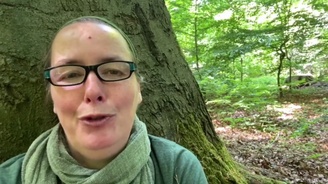 Waldbaden - Natur mit allen Sinnen genießen und entspannen – Screenshot 3