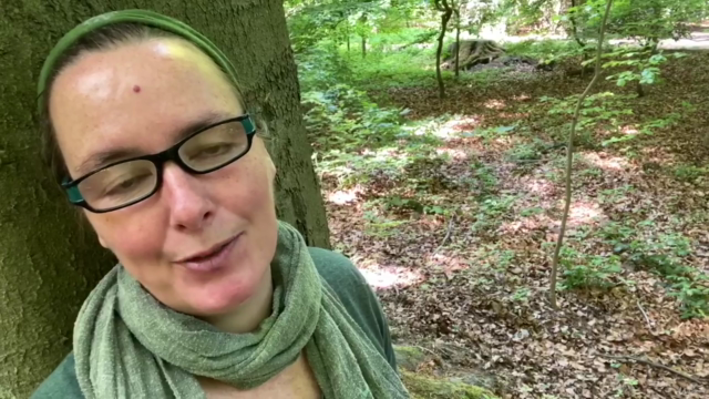 Waldbaden - Natur mit allen Sinnen genießen und entspannen – Screenshot 4