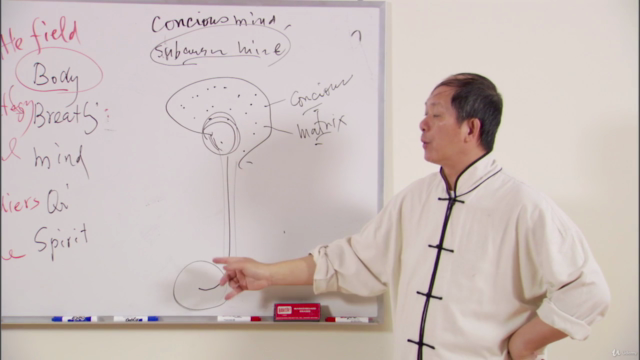 Understanding Qigong 2: Qigong Breathing Keypoints w Dr Yang – Screenshot 1