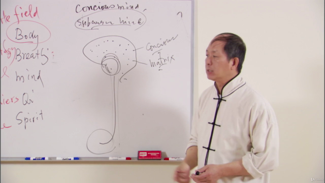 Understanding Qigong 2: Qigong Breathing Keypoints w Dr Yang – Screenshot 3